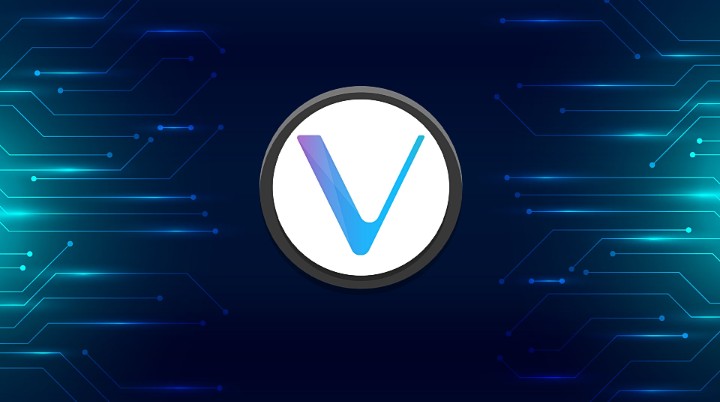 Pouvez-vous investir dans VeChain La pièce Vechain s'est incroyablement bien comportée en 2020-2021 avec des gains de plus de 5000%. Vechain est-il un bon investissement en 2021