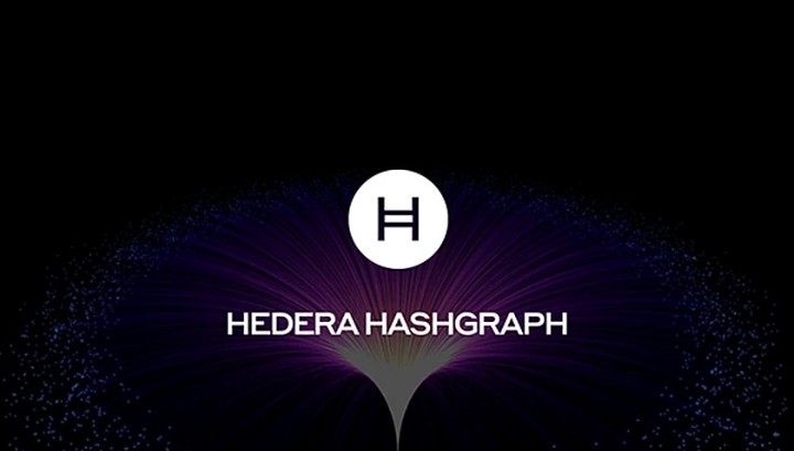 Pouvez-vous-investir-dans-Hedera-Hashgraph-Coin